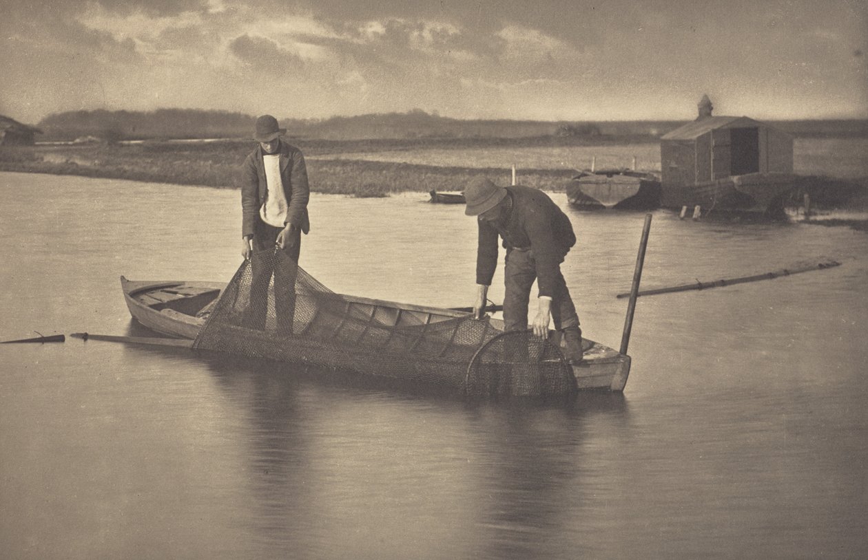 Wybieranie sieci na węgorze autorstwa Peter Henry Emerson