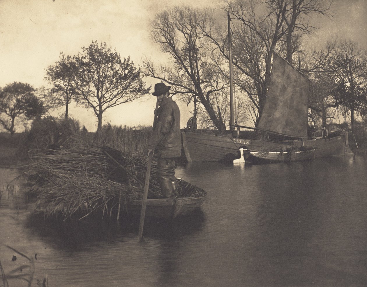 Powrót ścinacza gladonu autorstwa Peter Henry Emerson