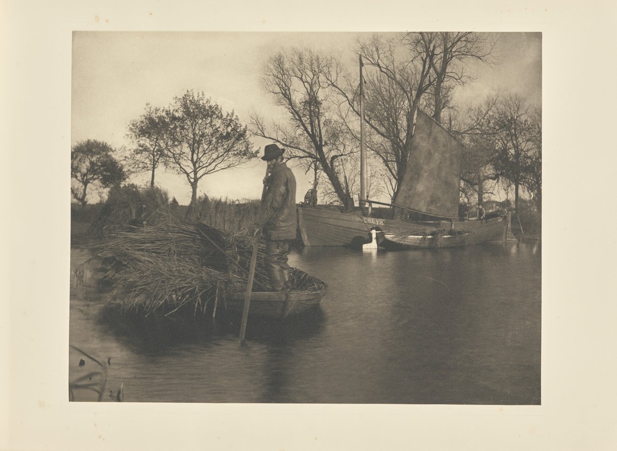 Powrót ścinacza gladdonu autorstwa Peter Henry Emerson