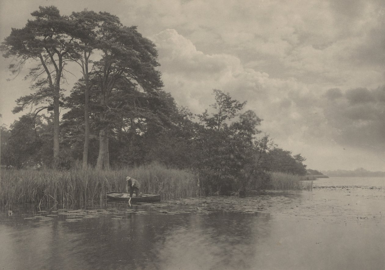 Nawiedzenie szczupaka autorstwa Peter Henry Emerson