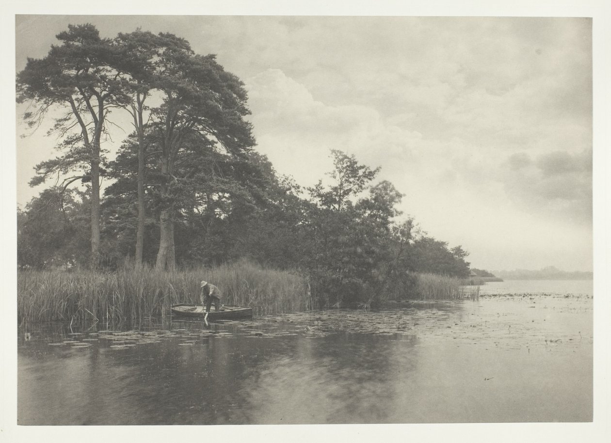 Nawiedzenie szczupaka autorstwa Peter Henry Emerson