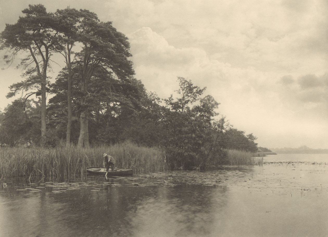 Kryjówka szczupaka autorstwa Peter Henry Emerson