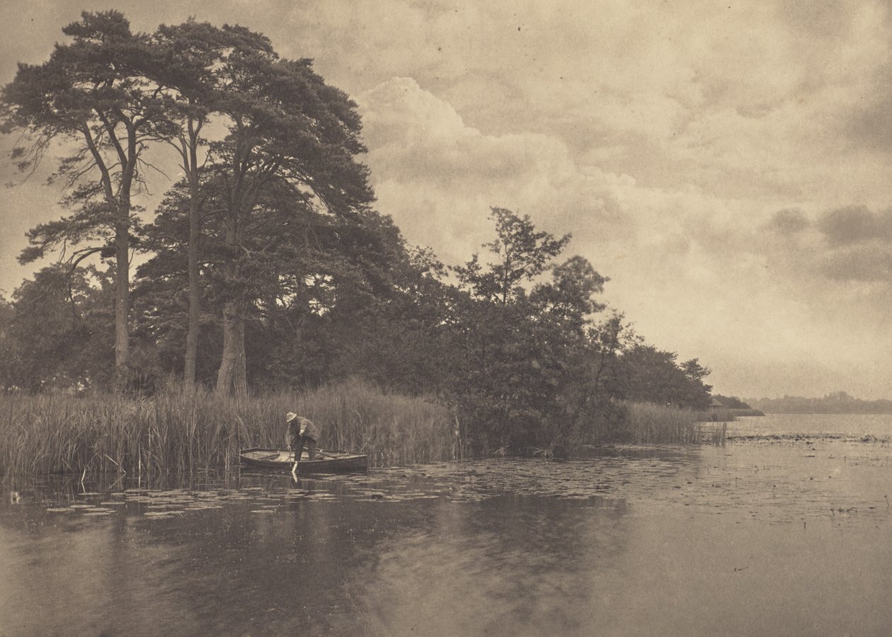 Kryjówka szczupaka autorstwa Peter Henry Emerson