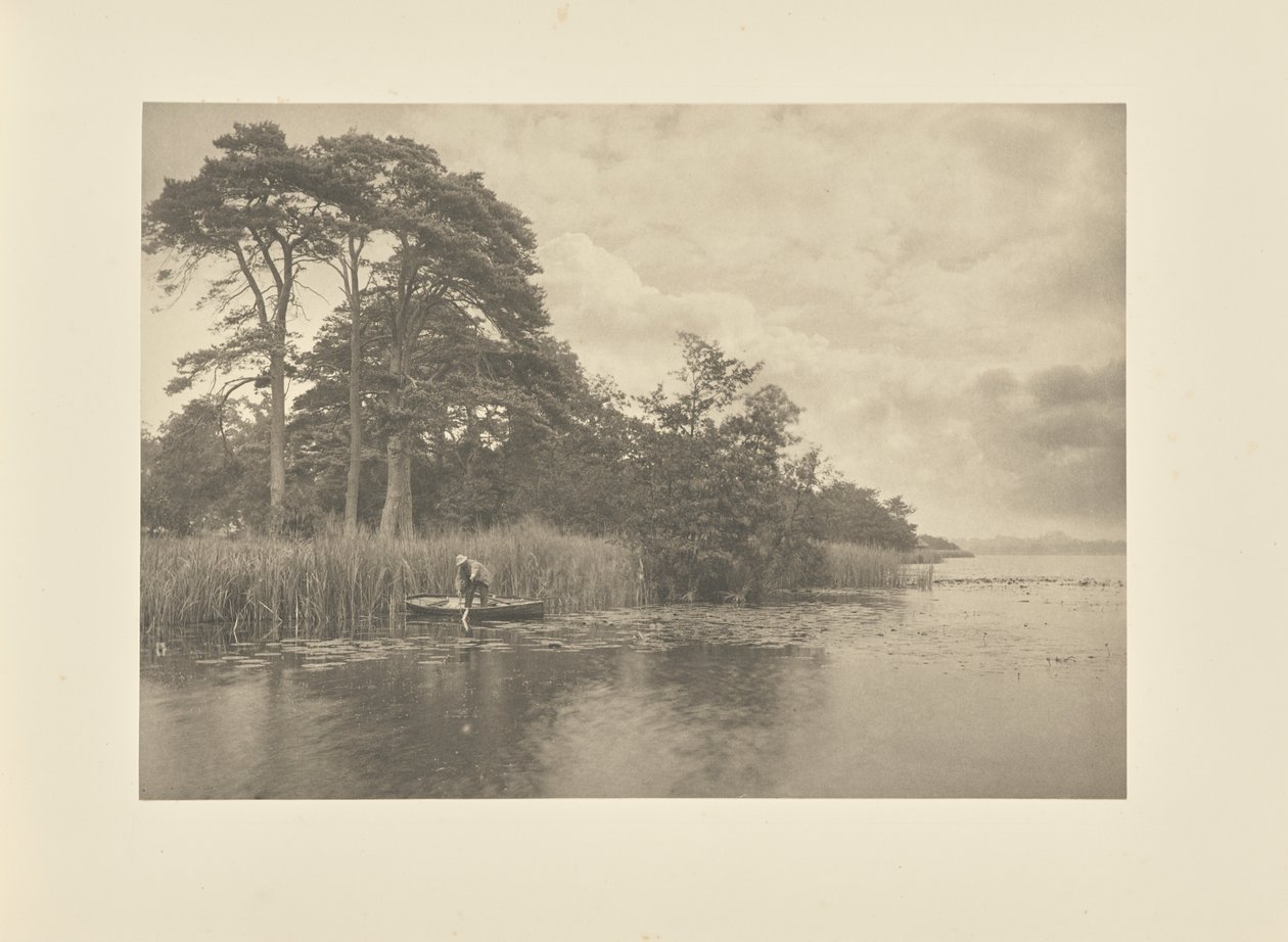 Siedlisko szczupaka autorstwa Peter Henry Emerson