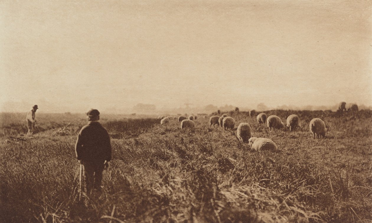 Bagna w czerwcu 1890-1891, druk 1893. autorstwa Peter Henry Emerson