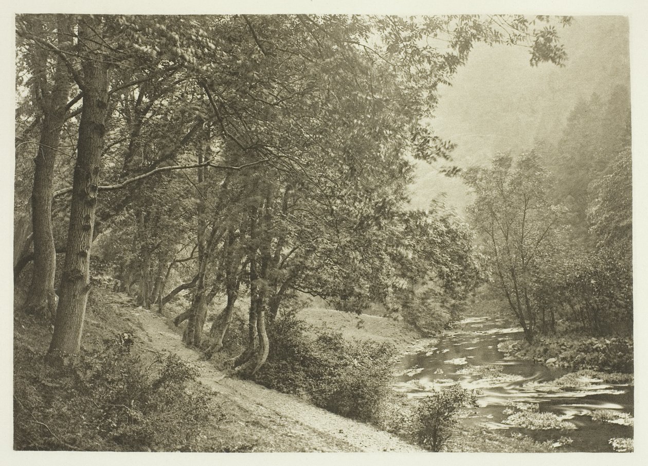 Ścieżka nad The First Brae, Dove Dale autorstwa Peter Henry Emerson