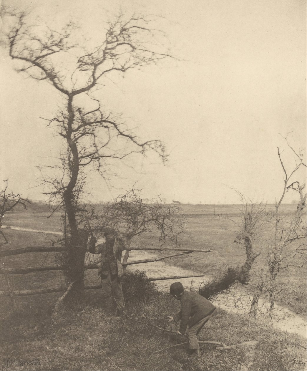 Przecinacze gałązek autorstwa Peter Henry Emerson
