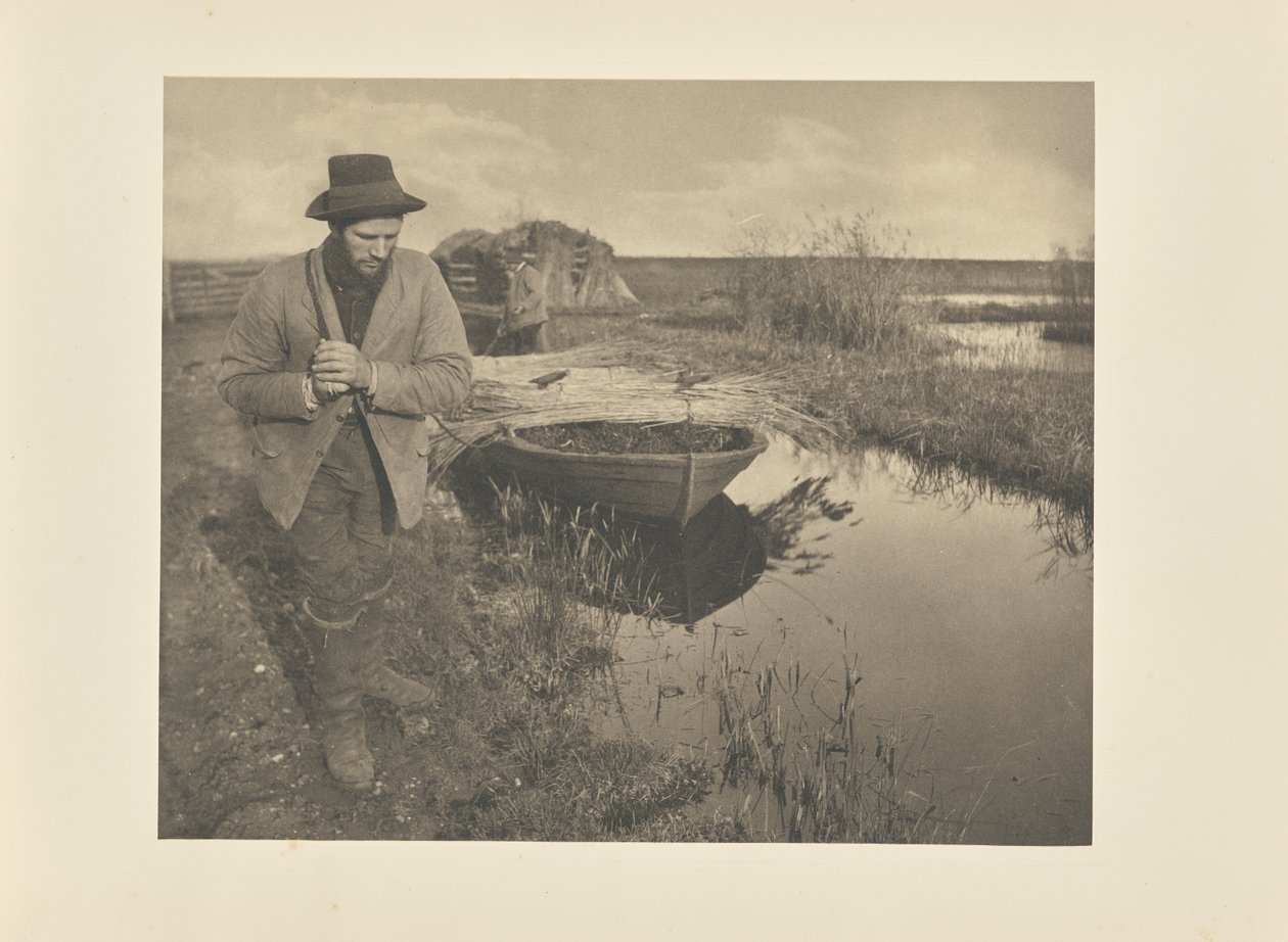 Holowanie trzcin autorstwa Peter Henry Emerson