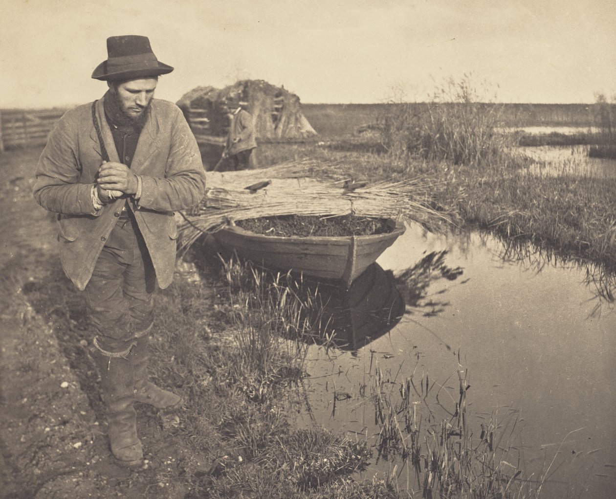 Holowanie trzcin autorstwa Peter Henry Emerson