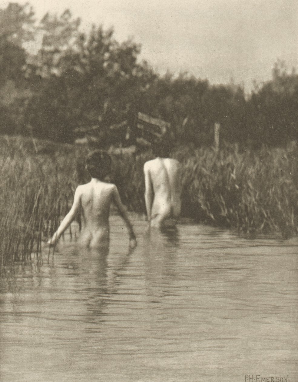 Water-Babies autorstwa Peter Henry Emerson