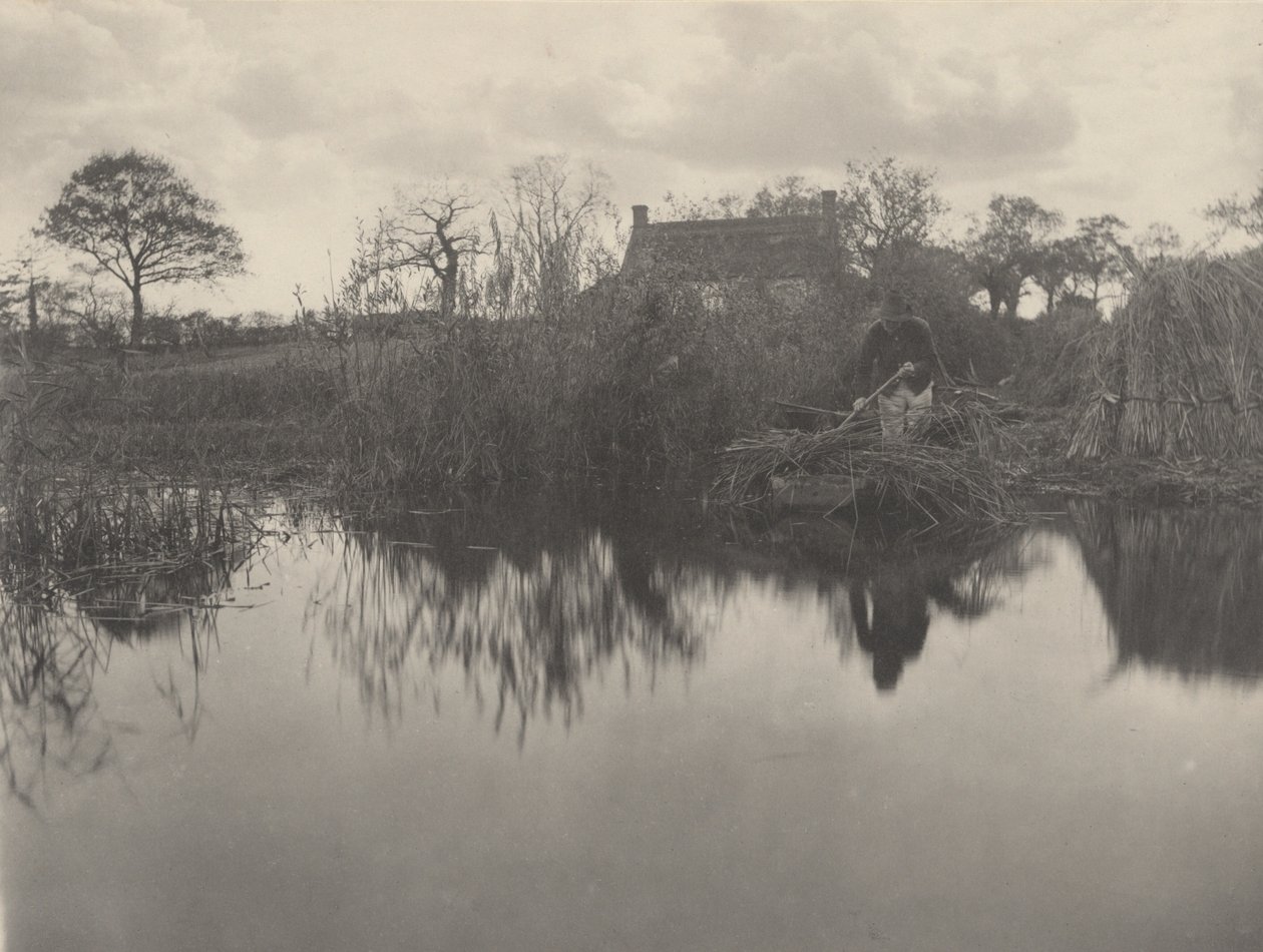 Obliczanie Gladdon autorstwa Peter Henry Emerson and T.F. Goodall