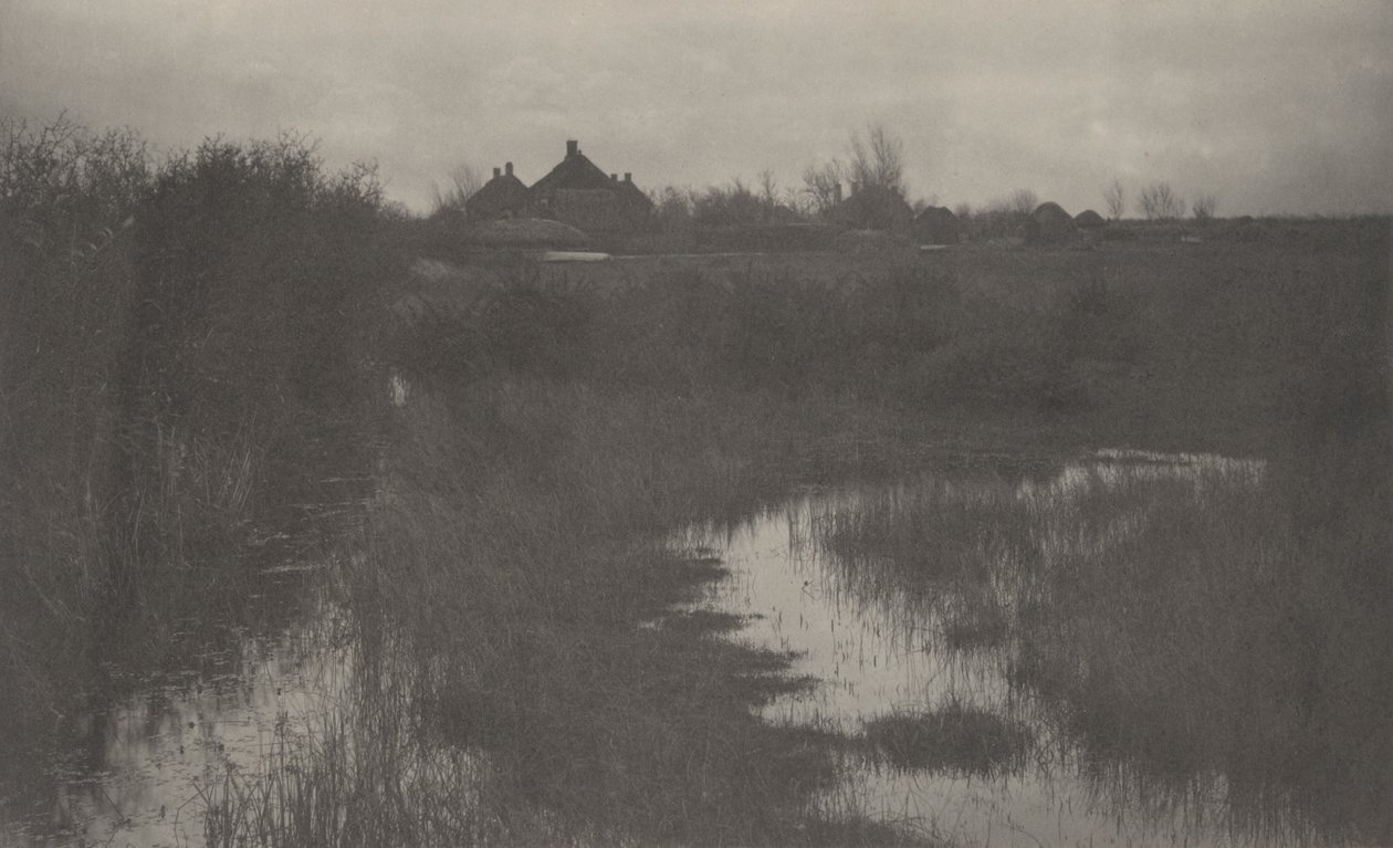 Skraj bagna autorstwa Peter Henry Emerson and T.F. Goodall