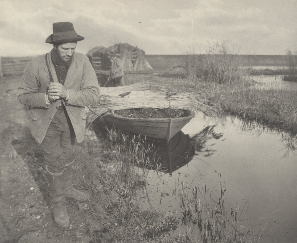 Holowanie trzciny autorstwa Peter Henry Emerson and T.F. Goodall