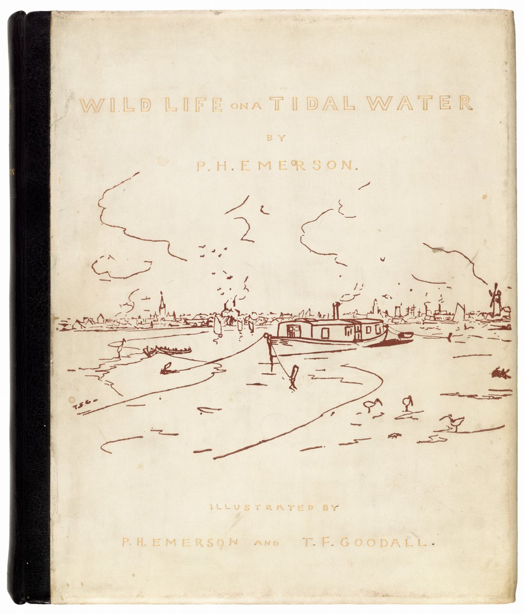 Dzikie życie na wodzie pływowej autorstwa Peter Henry Emerson, and T.F. Goodall