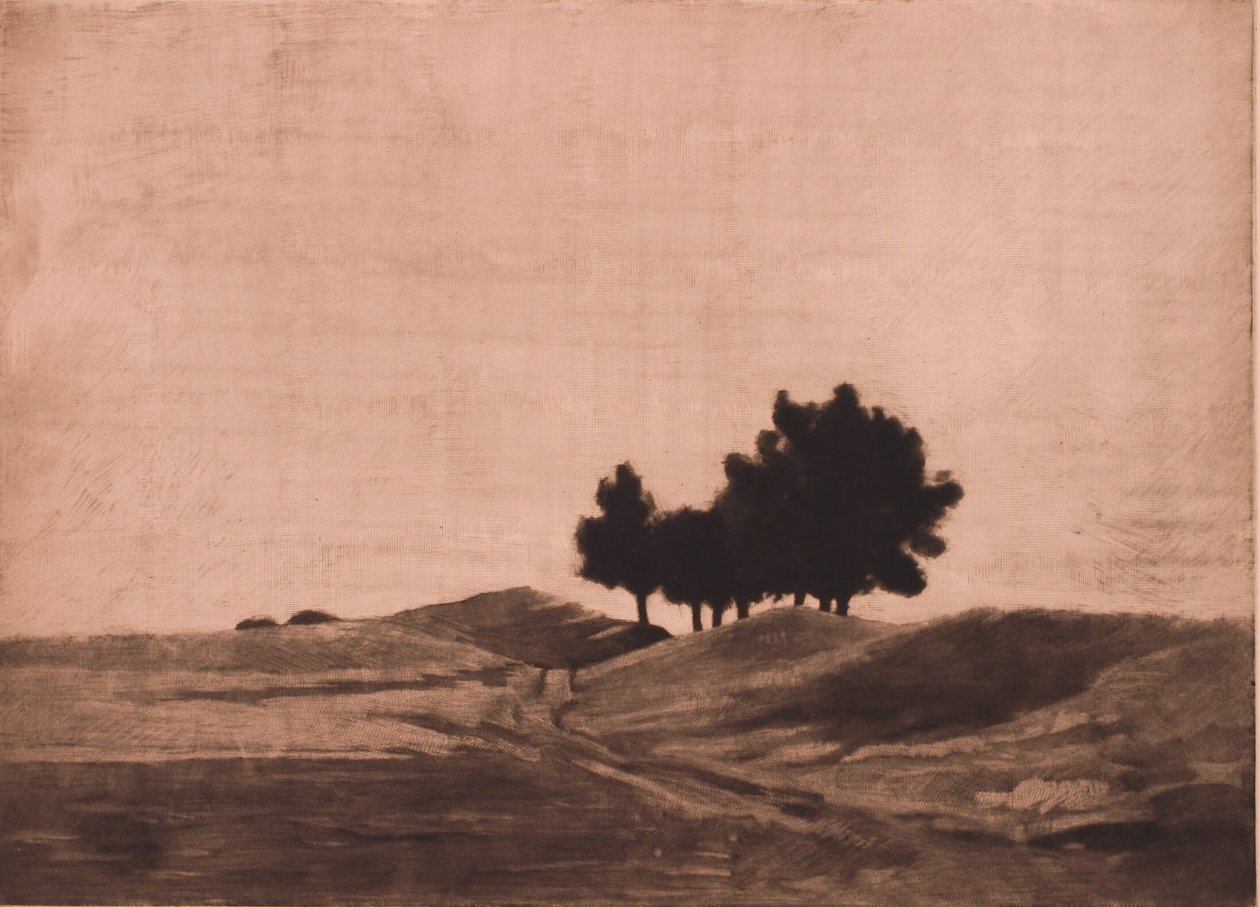 Wieczorny krajobraz autorstwa Peter Vilhelm Ilsted