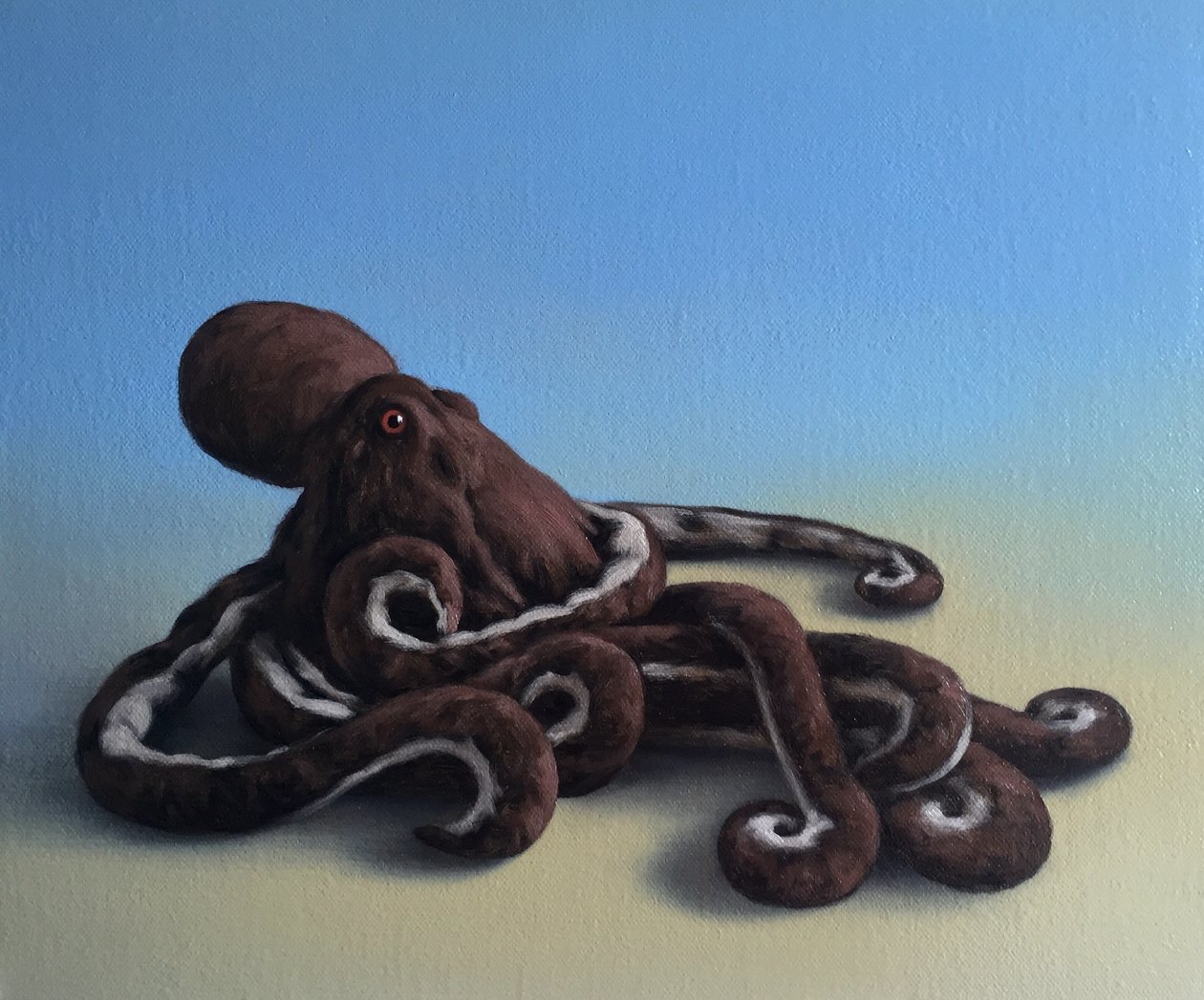 Ośmiornica, 2016 autorstwa Peter Jones