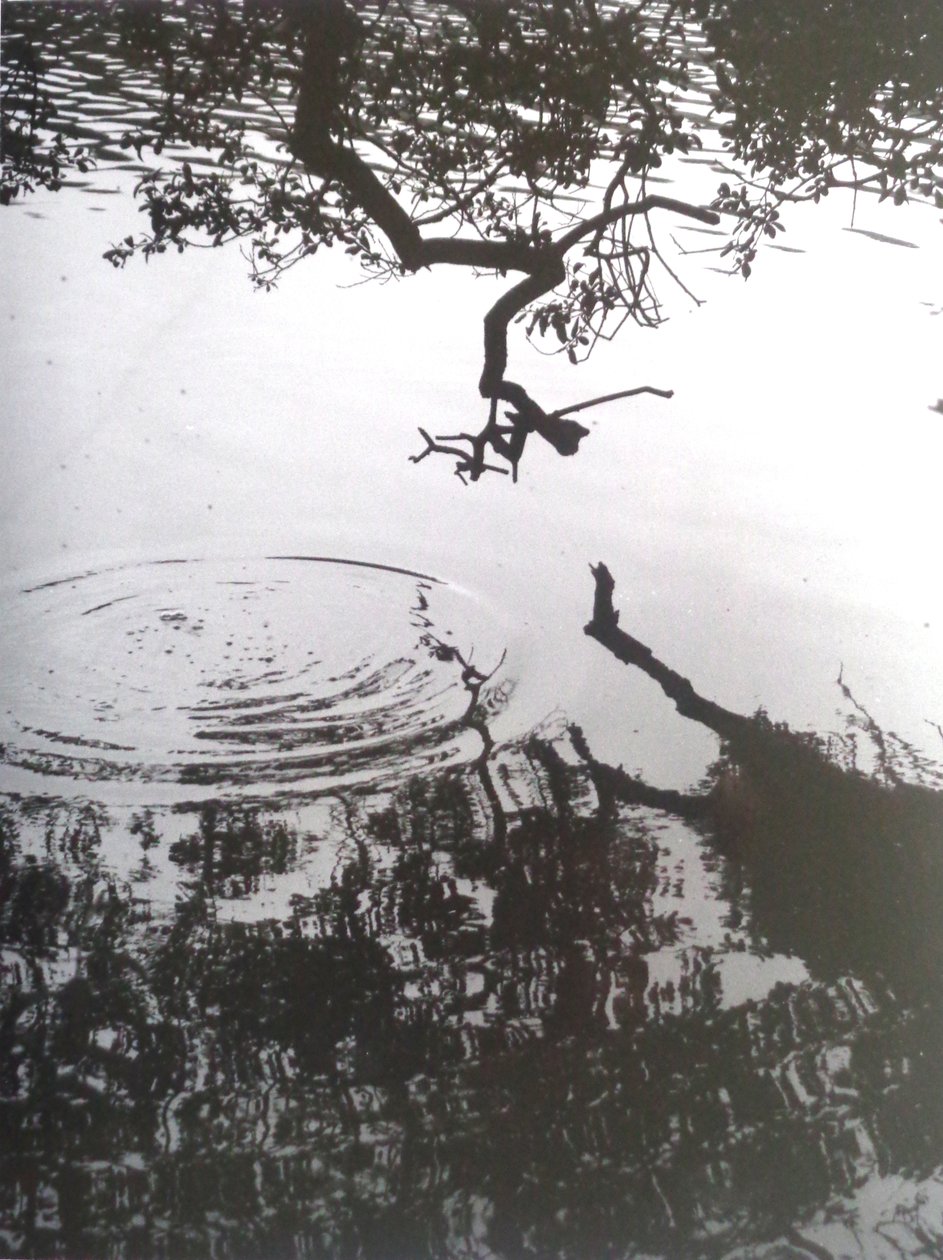 VINTAGE B&W ZDJĘCIE nr 5, 1986, (FOTOGRAFIA) autorstwa Peter McClure