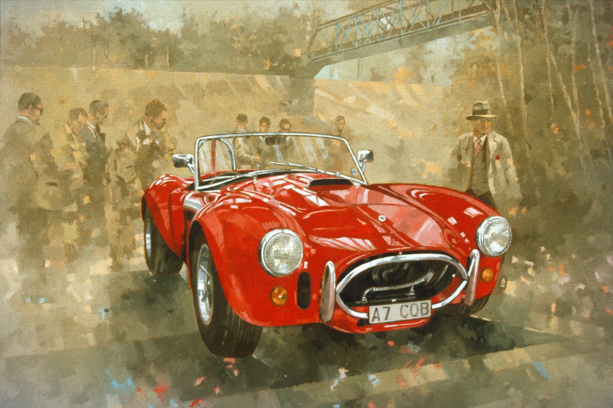 Kobra w Brooklands (olej na płótnie) autorstwa Peter Miller