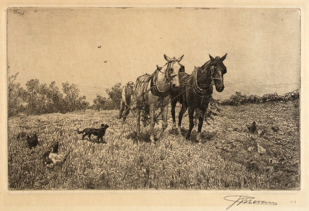 (Orka jesienna) autorstwa Peter Moran