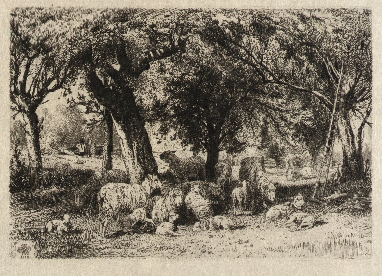 (Owce w sadzie) autorstwa Peter Moran