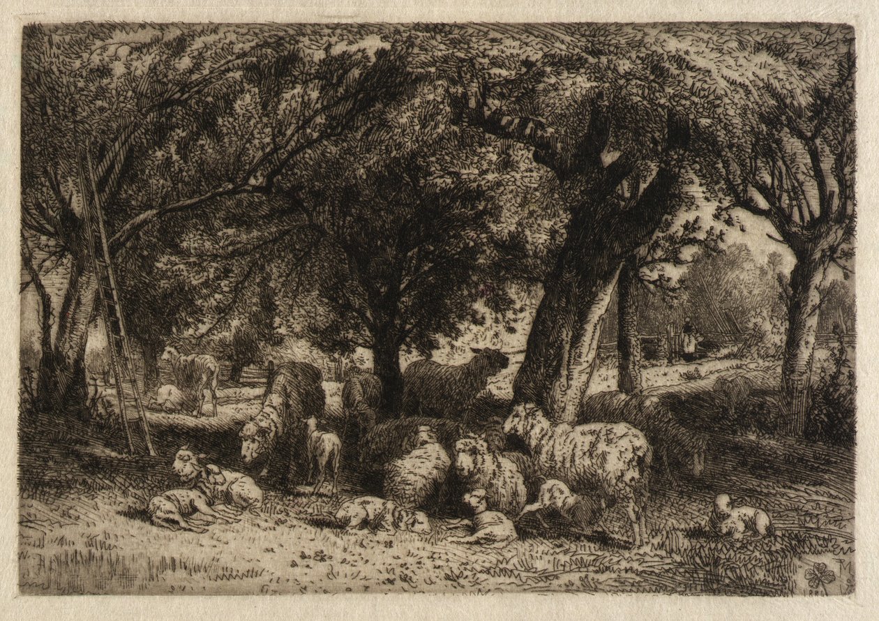 (Owce w sadzie) autorstwa Peter Moran