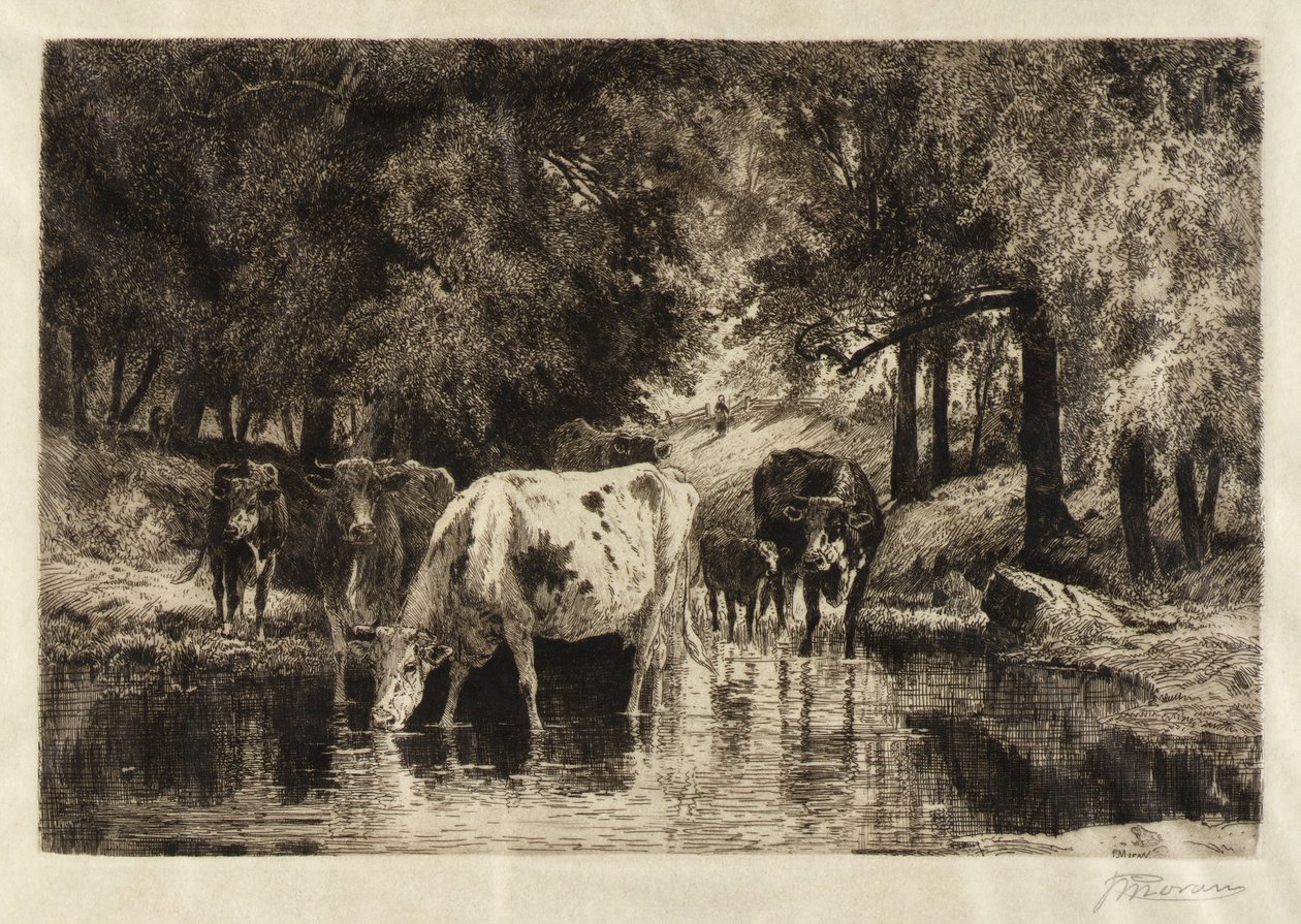 Basen autorstwa Peter Moran