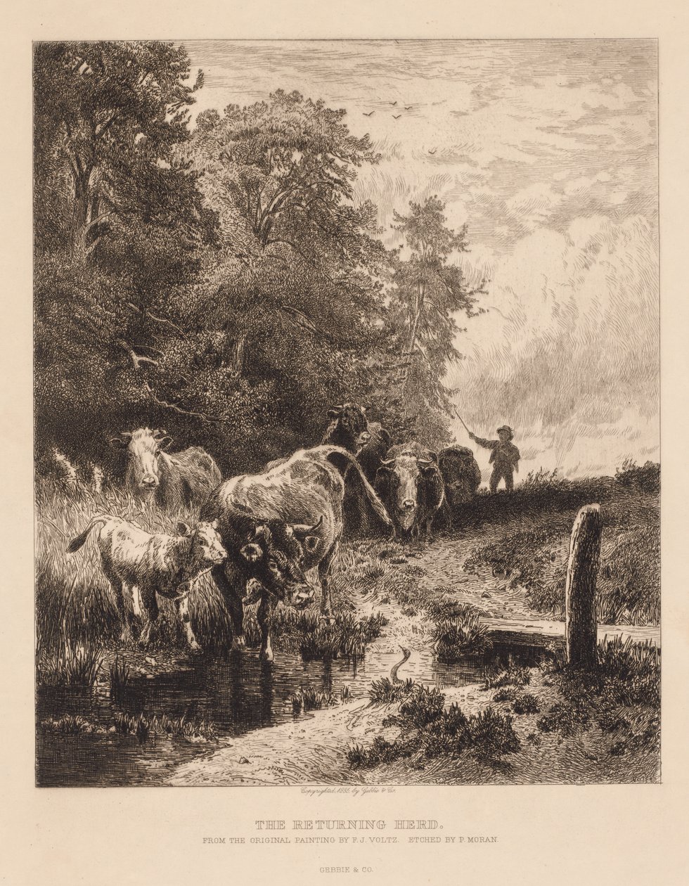 Powracające Stado, ok. 1930 r. 1885. autorstwa Peter Moran