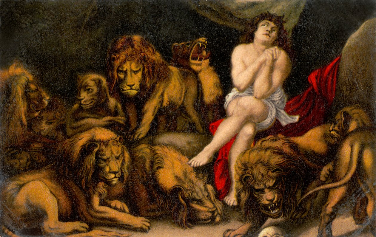 Daniel leijonan luolassa Daniel Bible (print)puolasta autorstwa Peter Paul (after) Rubens
