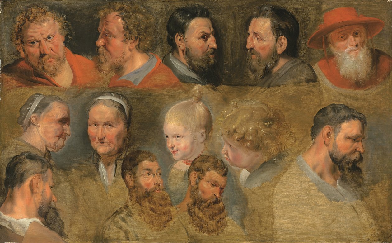 Studia głowy (olej na desce) autorstwa Peter Paul (circle of) Rubens