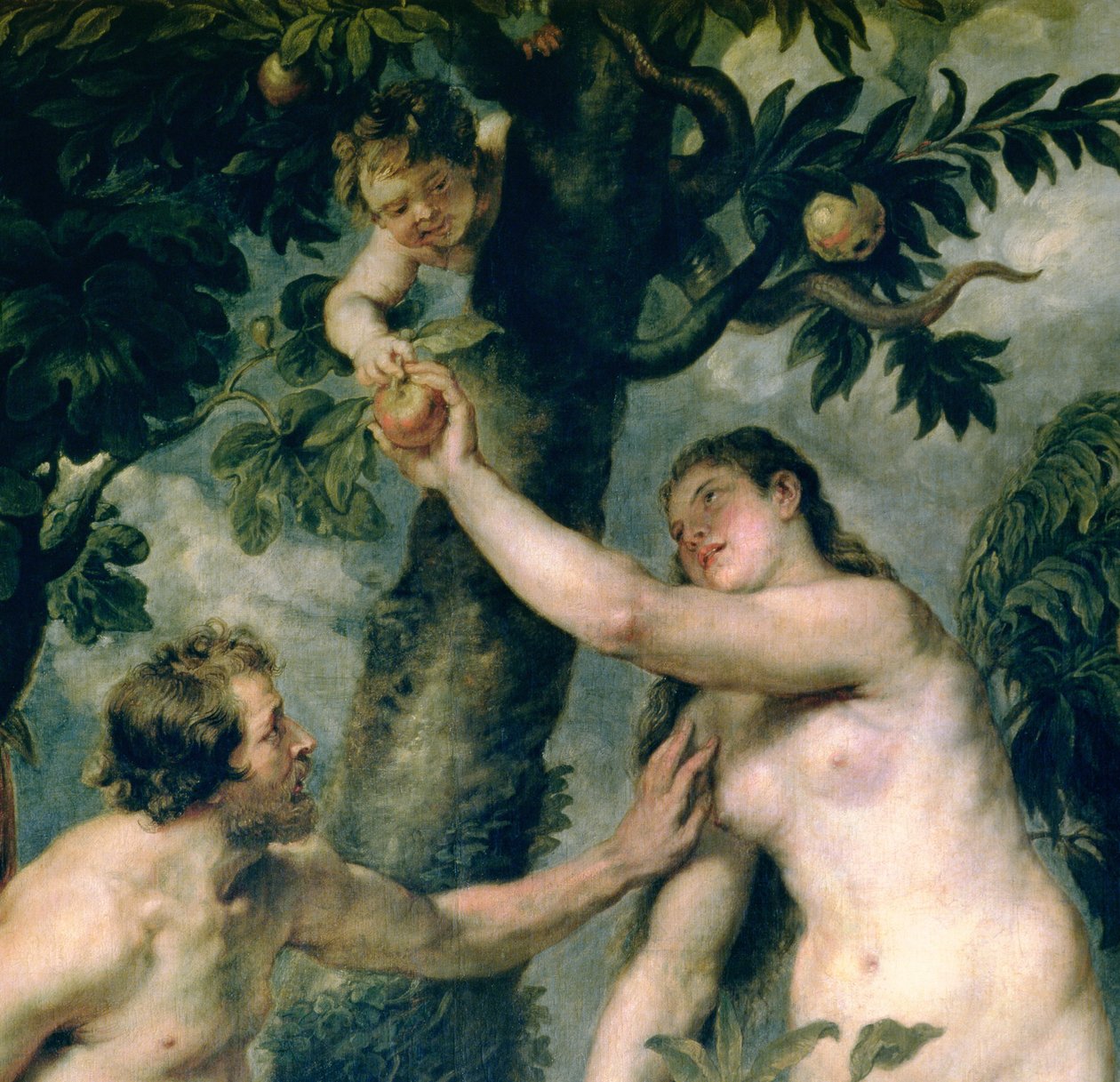 Adam i Ewa (przepis z obrazu Tycjana) (detal 51710) autorstwa Peter Paul Rubens
