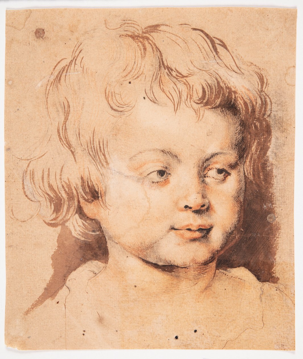 Głowa dziecka autorstwa Peter Paul Rubens