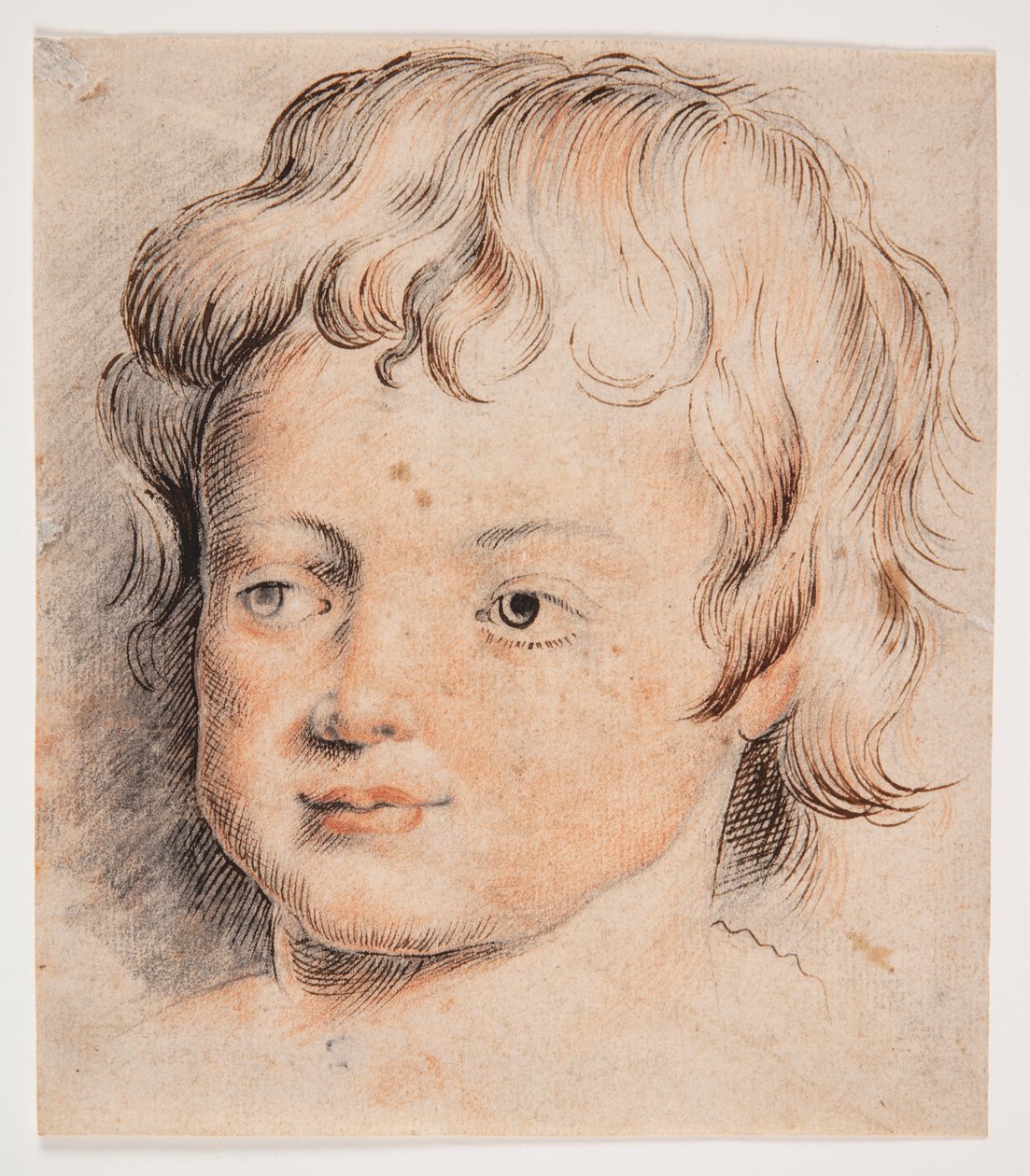 Głowa dziecka autorstwa Peter Paul Rubens