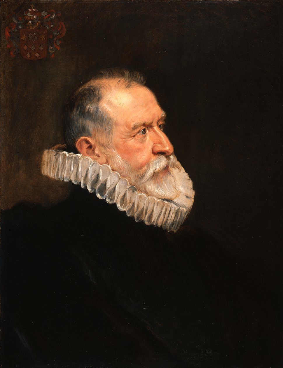 Portret starszego mężczyzny autorstwa Peter Paul Rubens