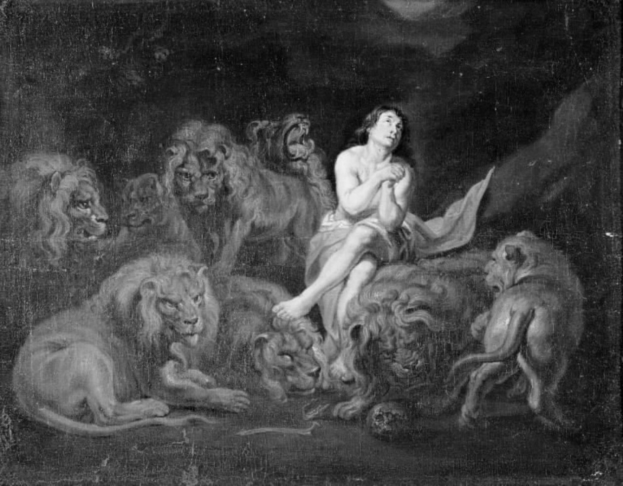 Daniel w jaskini lwów autorstwa Peter Paul Rubens