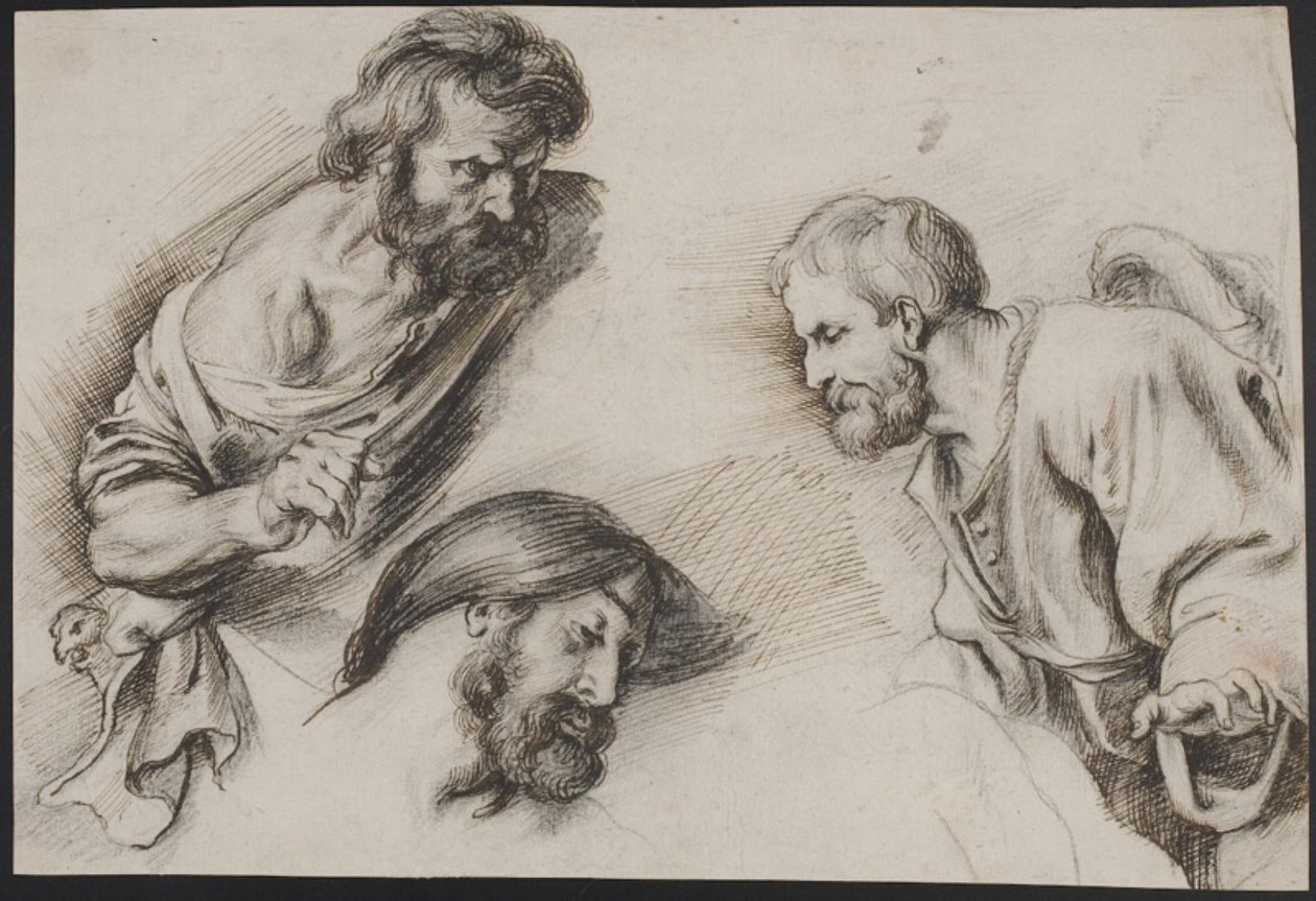 Studia figuratywne autorstwa Peter Paul Rubens