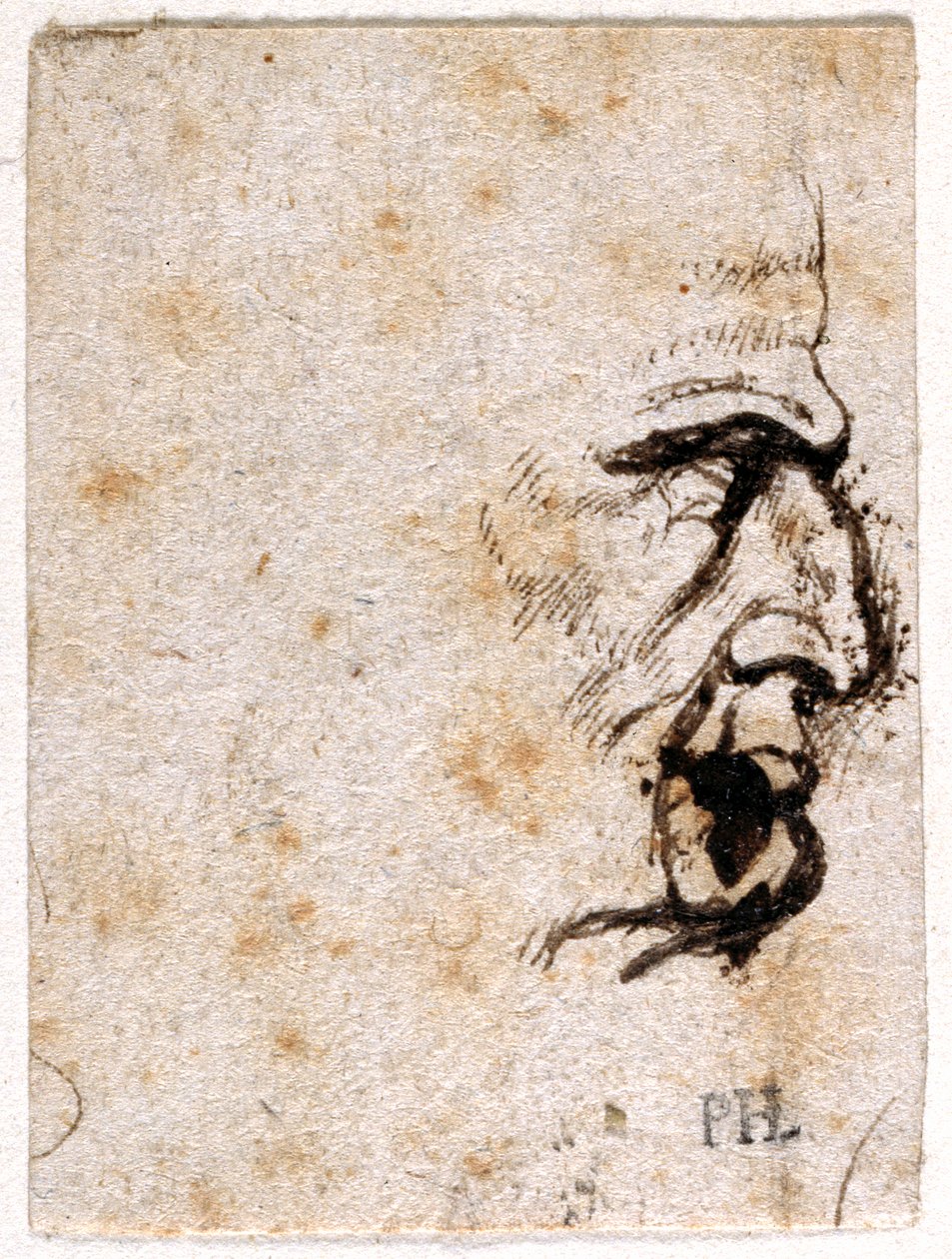 Galba, z dziesięciu rysunków ośmiu z pierwszych dwunastu Cezarów, według medali Giovanniego da Cavino (pióro i atrament na papierze) autorstwa Peter Paul Rubens