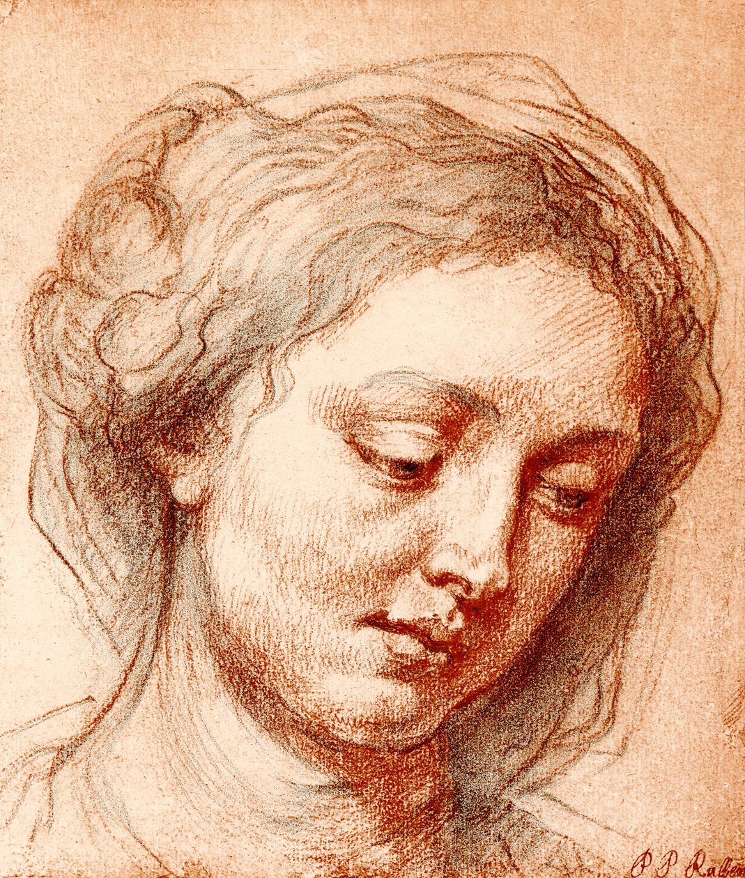 Głowa dziewczyny autorstwa Peter Paul Rubens