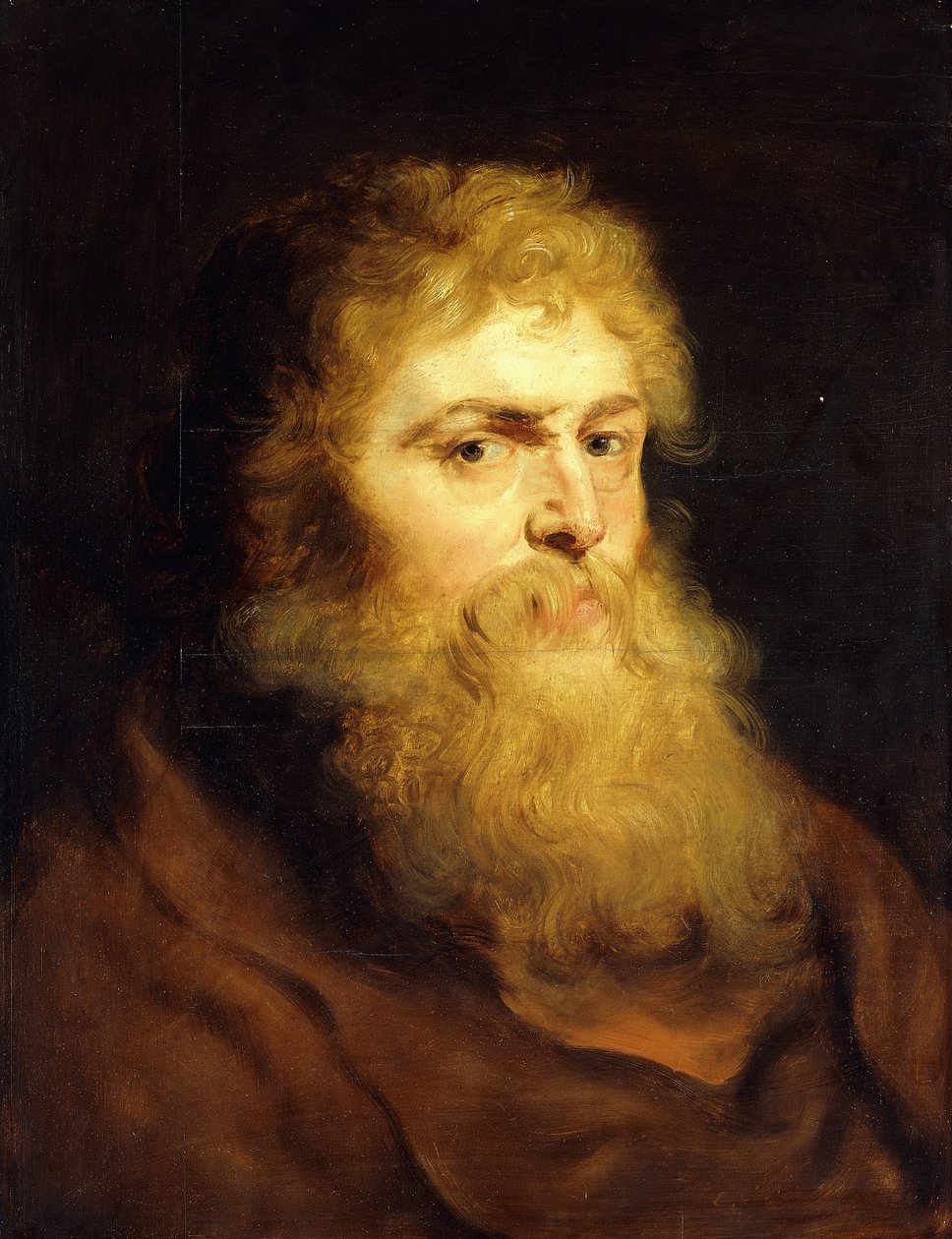Głowa brodatego mężczyzny, autorstwa Peter Paul Rubens