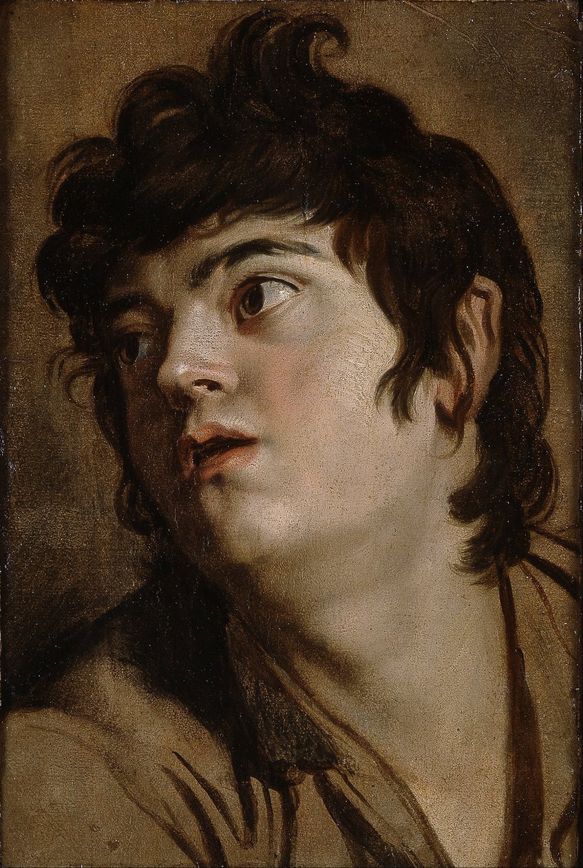 Głowa młodego mężczyzny autorstwa Peter Paul Rubens