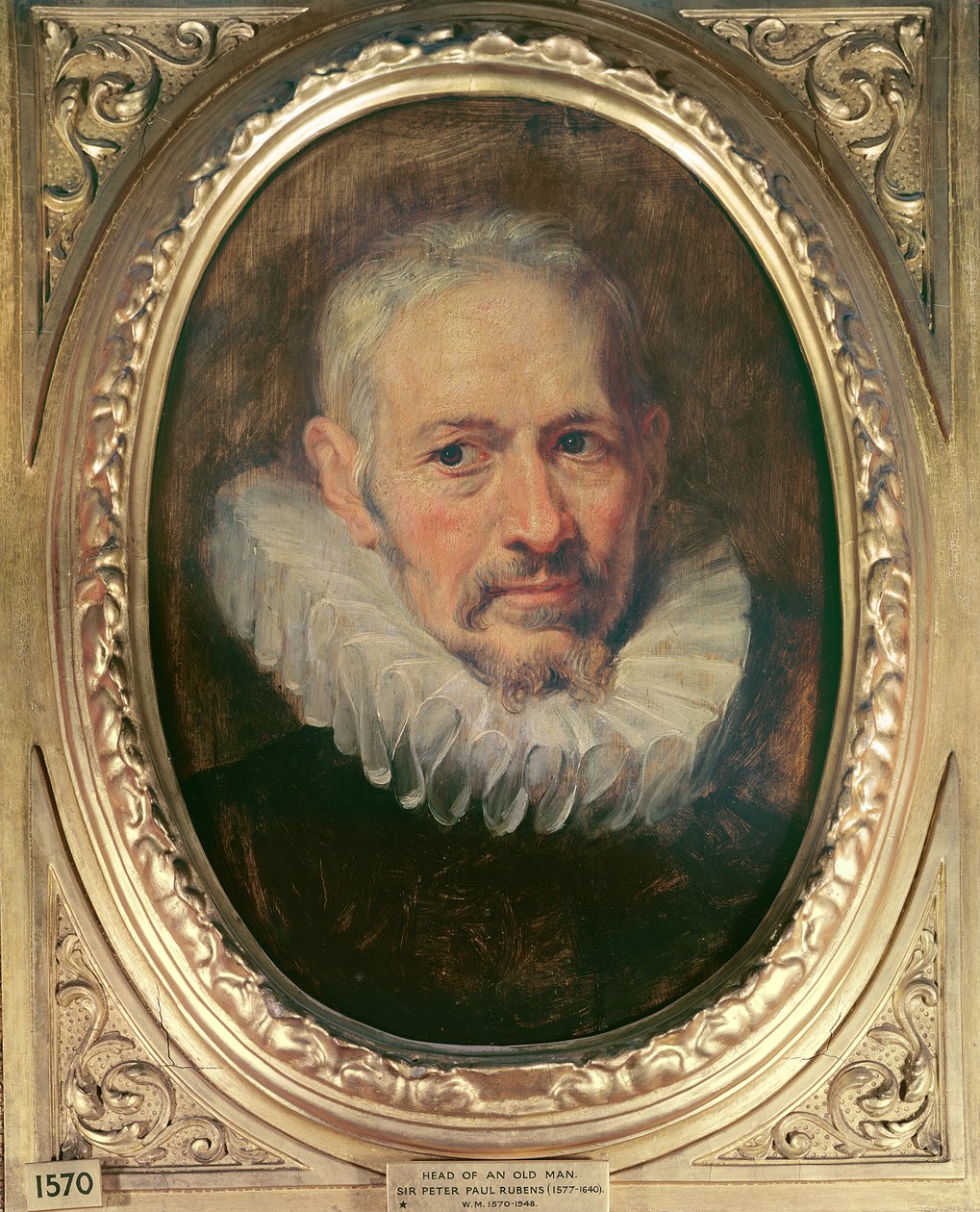 Głowa starego człowieka (olej na płótnie) autorstwa Peter Paul Rubens