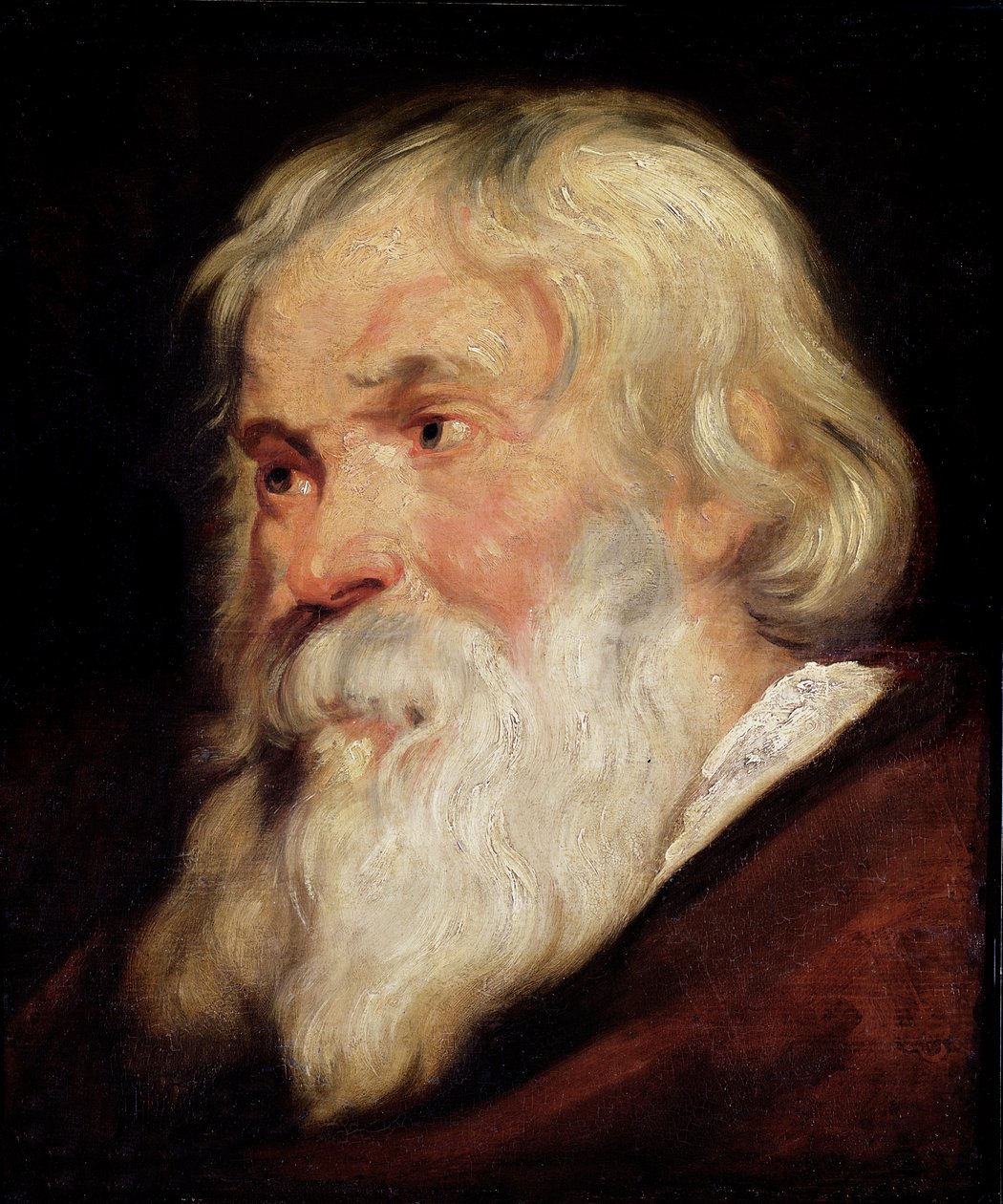 Głowa starego człowieka autorstwa Peter Paul Rubens