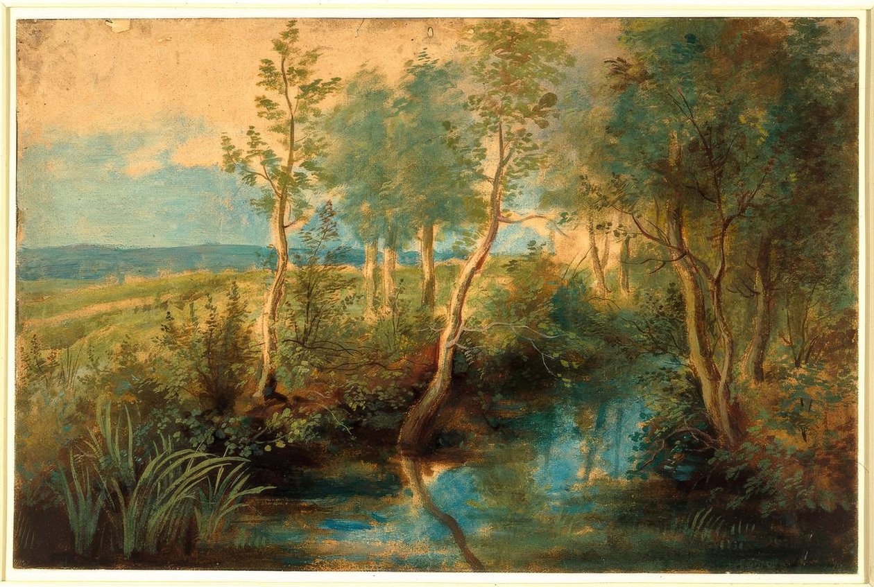 Krajobraz ze strumieniem obrośniętym drzewami autorstwa Peter Paul Rubens