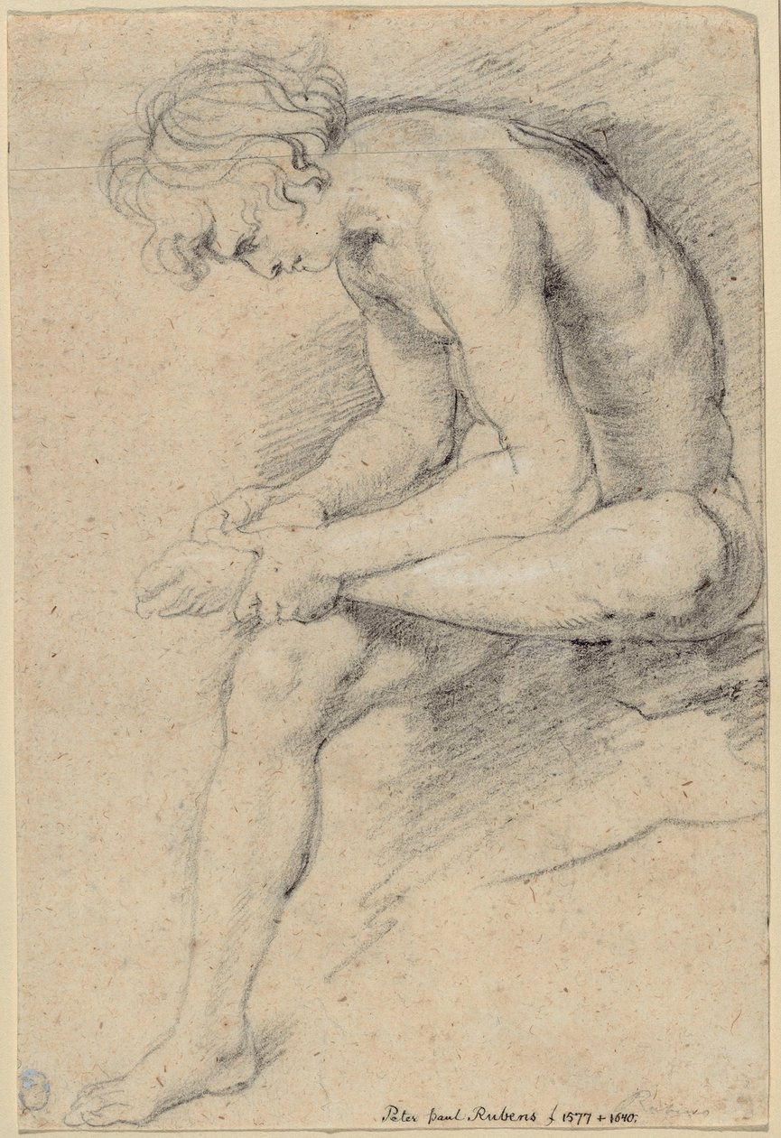 Naga młodość w pozie Spinario autorstwa Peter Paul Rubens