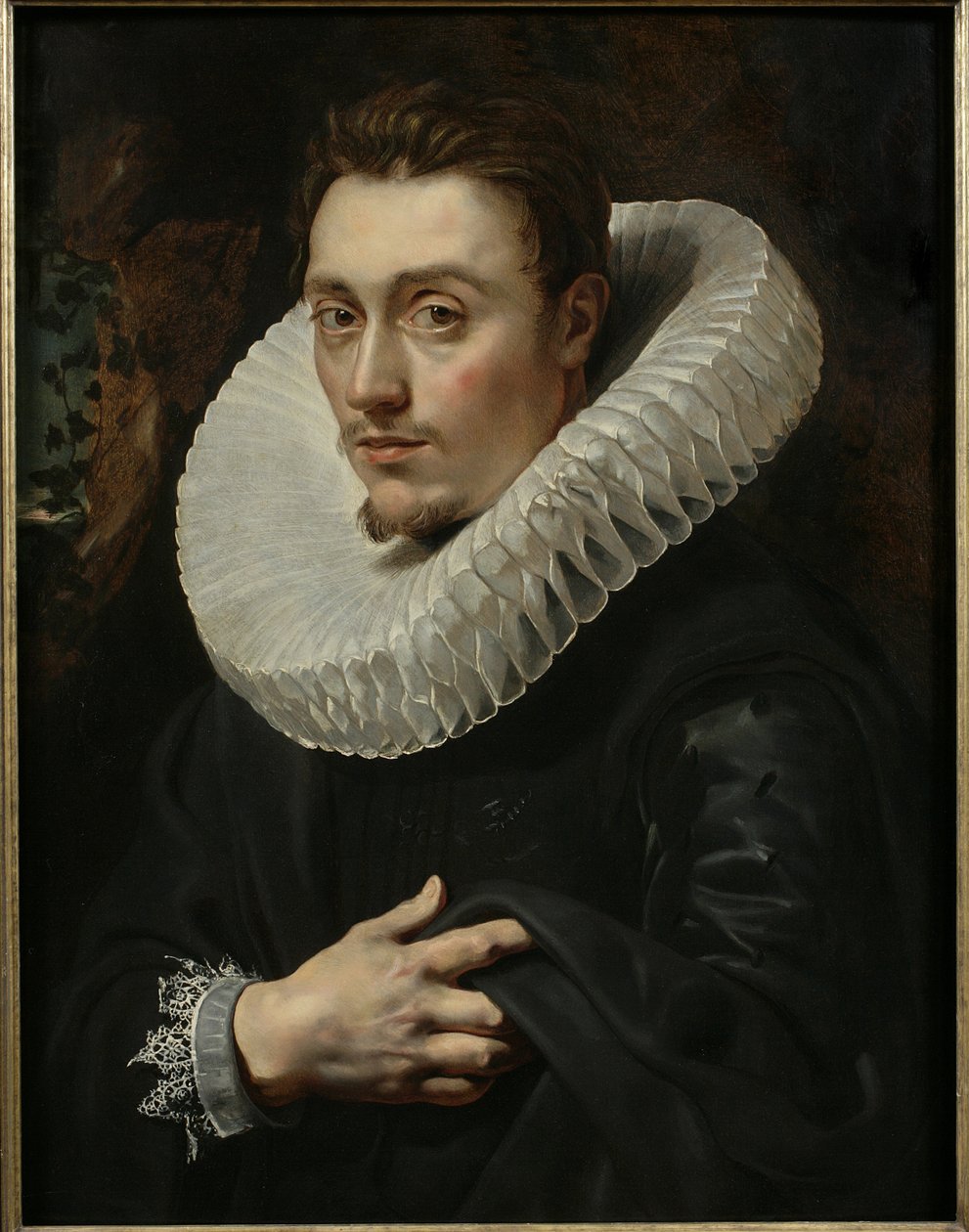 Portret młodego mężczyzny autorstwa Peter Paul Rubens