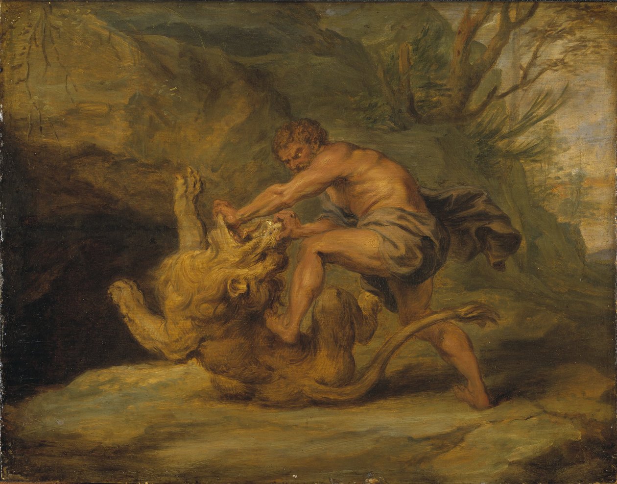 Samson i lew. Studium autorstwa Peter Paul Rubens