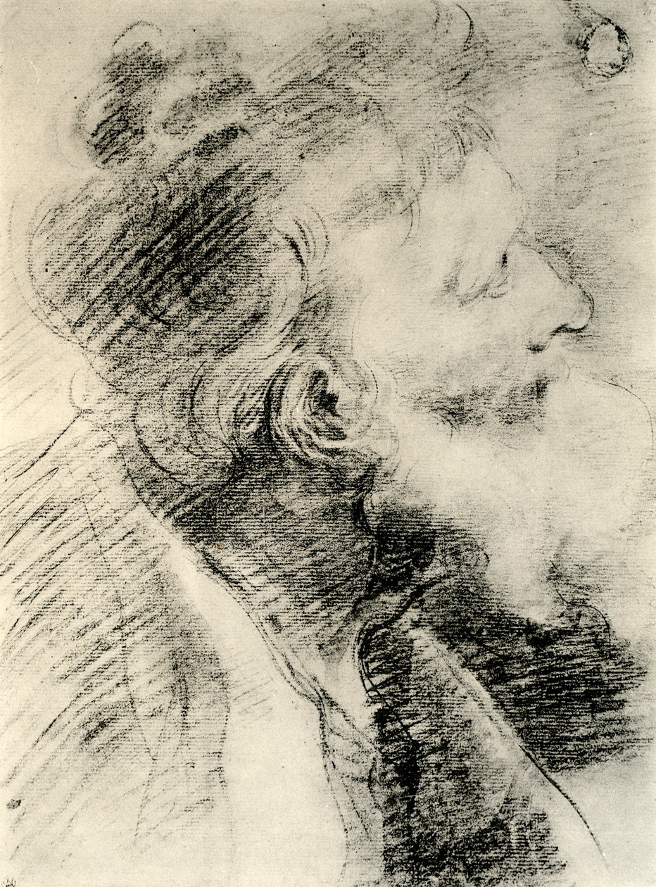 Studium dla głowy starego człowieka, 1913. autorstwa Peter Paul Rubens