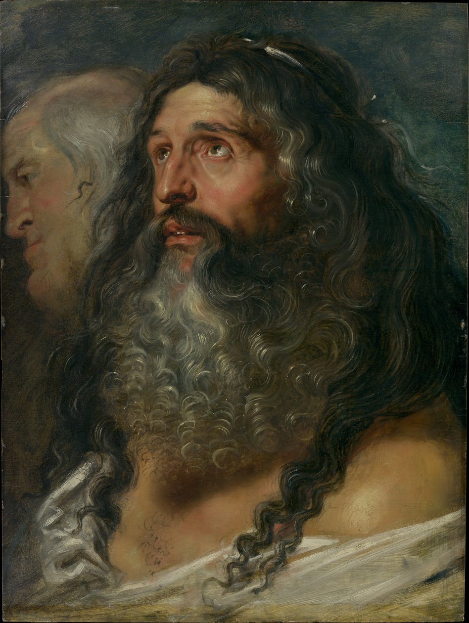 Studium dwóch głów autorstwa Peter Paul Rubens