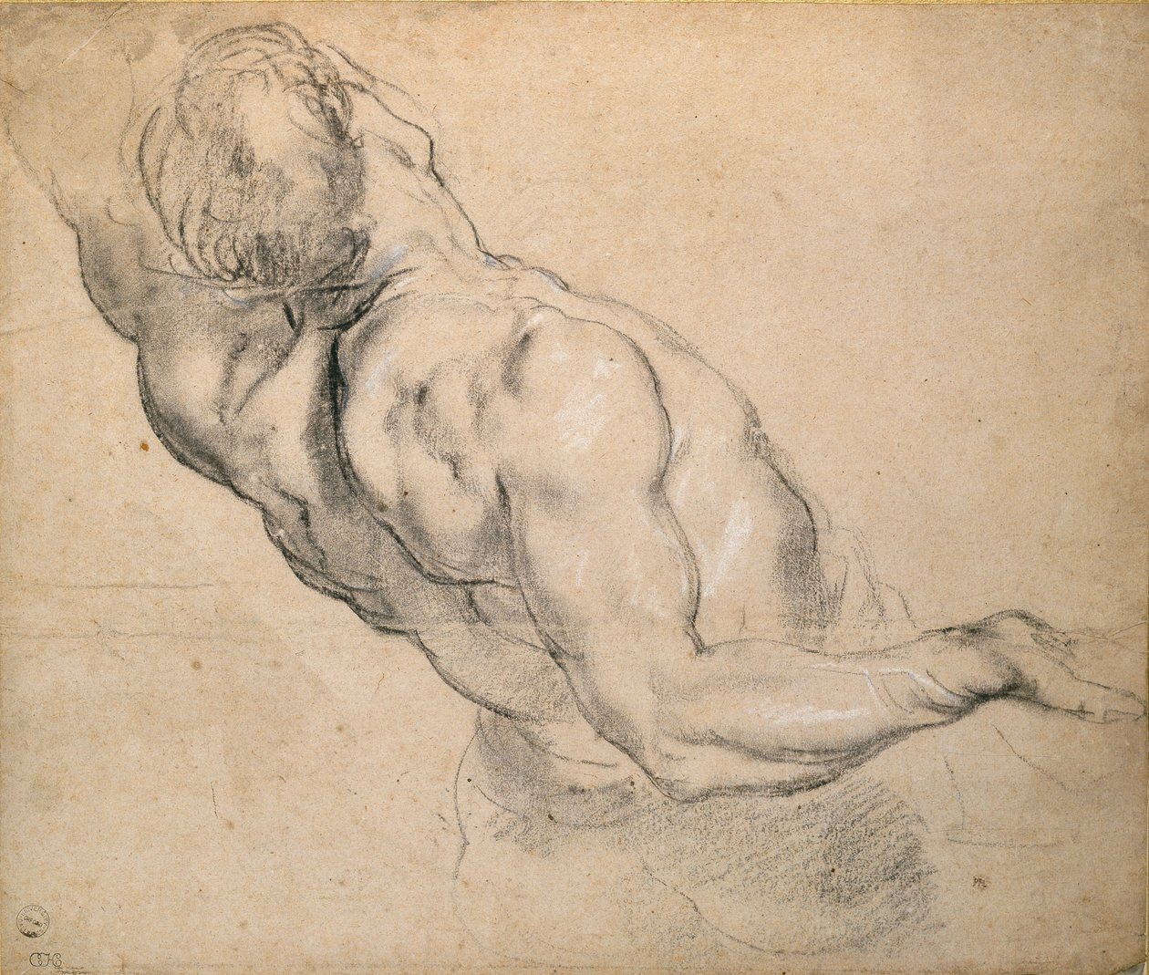 Studium nagiego męskiego tułowia, 1600-1640 autorstwa Peter Paul Rubens