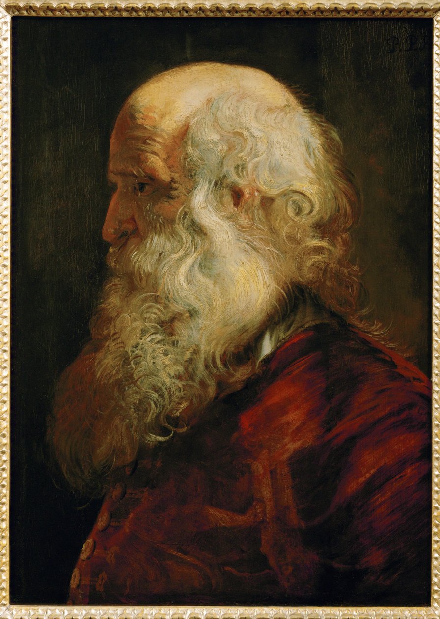 Studium starca, ok. 1610 (obraz na drewnie dębowym) autorstwa Peter Paul Rubens