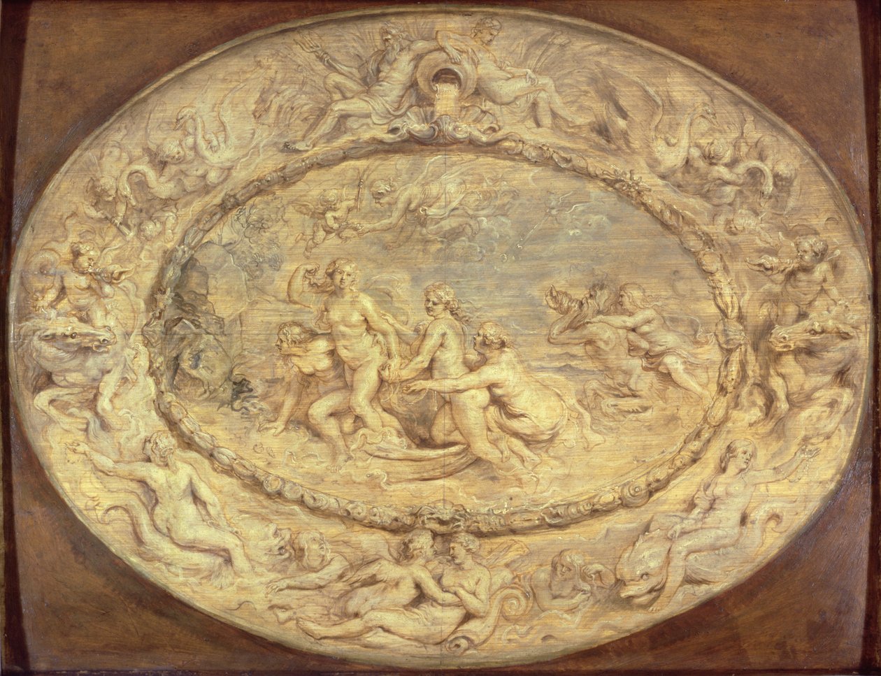 Narodziny Wenus, ok. 1632-33 (czarna kreda i olej na panelu) autorstwa Peter Paul Rubens